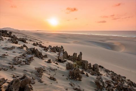 Dunas douradas da Boa Vista